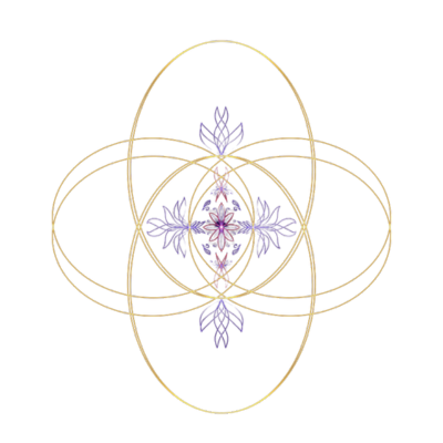 Hjartaakurinn transparent logo